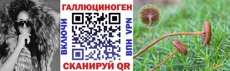 Псилоцибиновые грибы Cubensis  наркота  Майский 